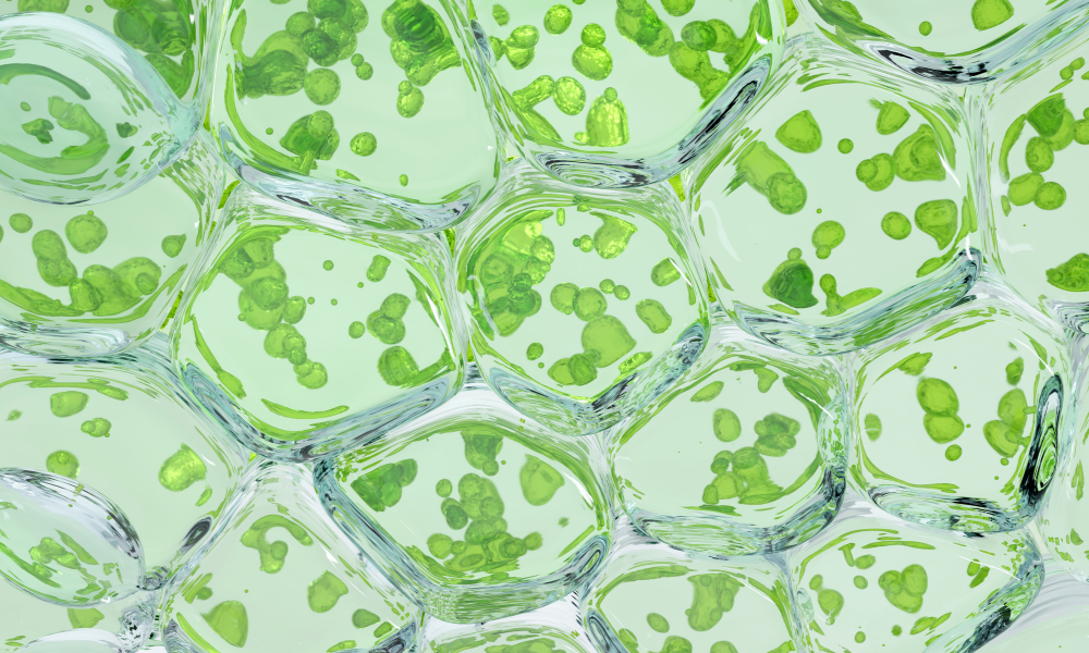 One Health e biotecnologie per la salute